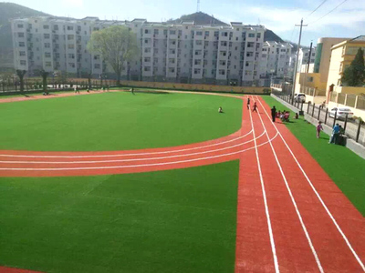 承接循化县幼儿园人造草坪厂家定制批发