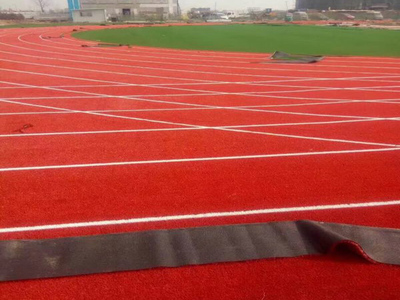 承接乐都区幼儿园人造草坪厂家定制批发