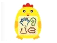 小鸡宝宝（不含活动板）